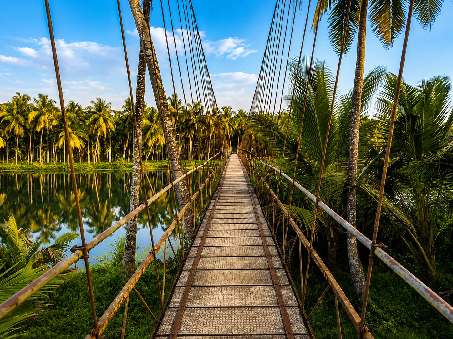 Swarna River backwaters